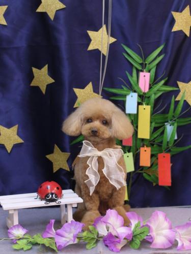 20230705ノアちゃん